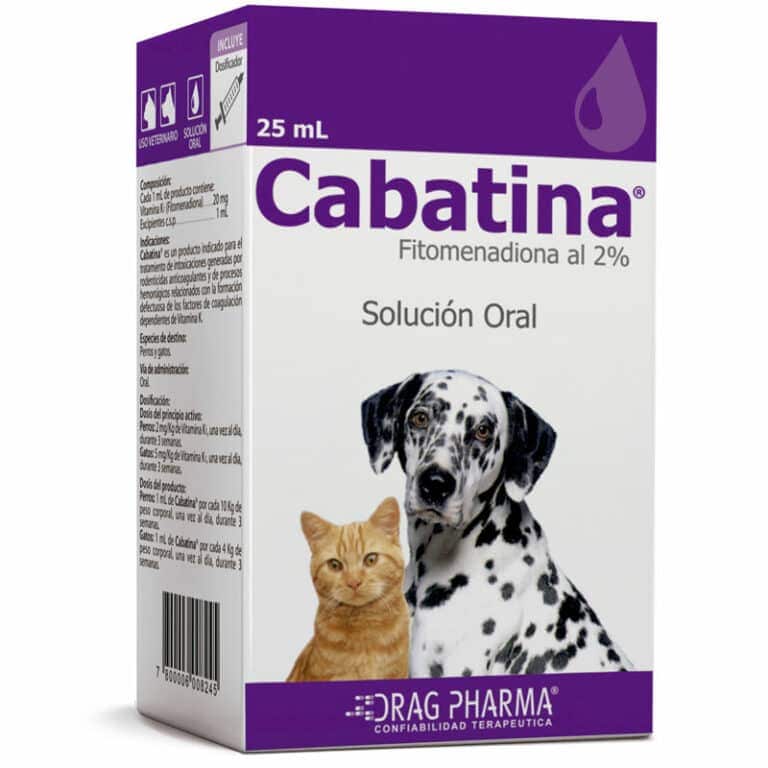 gabapentina gatos