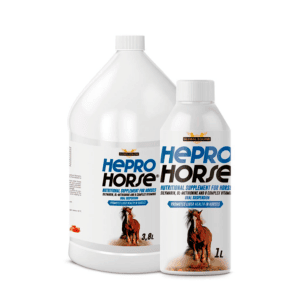 Hepro-Horse-2