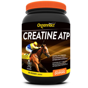 Creatine atp organnact