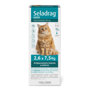 Seladrag Gato